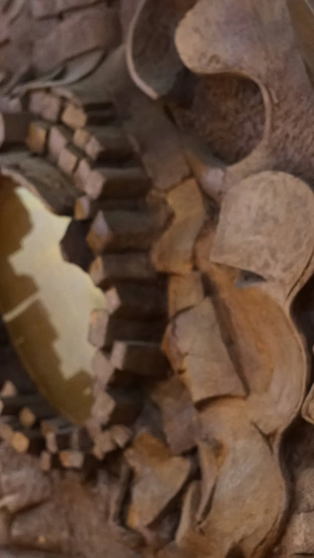 information_capacity_icon_container_image